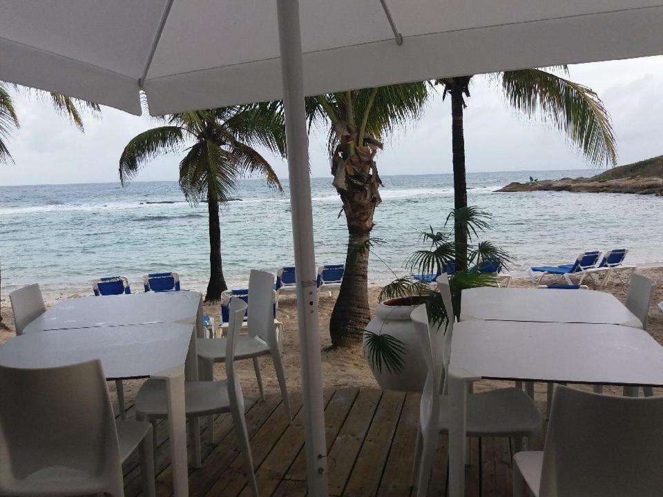 Appartement Proche De La Mer Ty Manganao Saint-Francois  Exterior foto